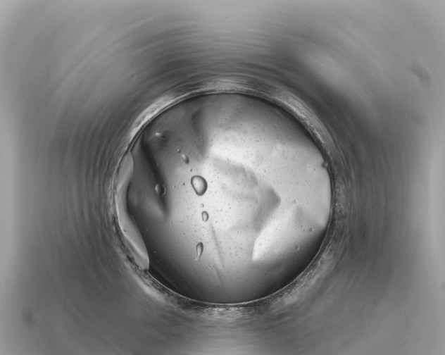 X0000115140858200911101706