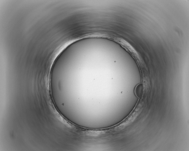 X0000115140860200911101706