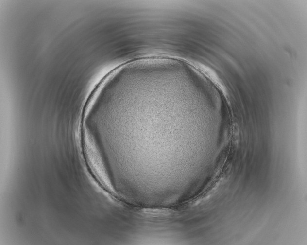 X0000115140863200911101706
