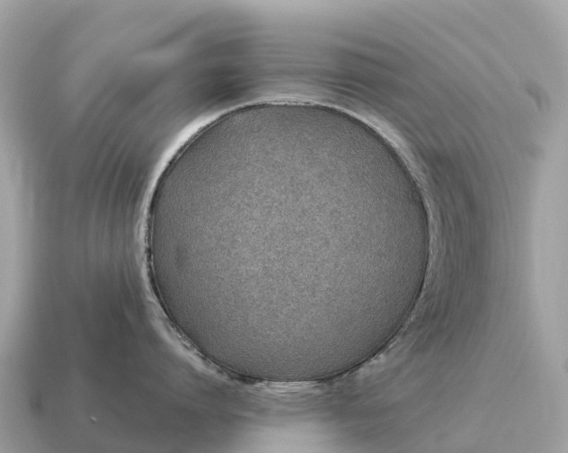 X0000115140864200911101706