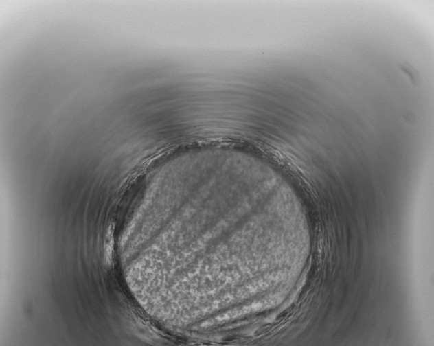 X0000115140868200911101705