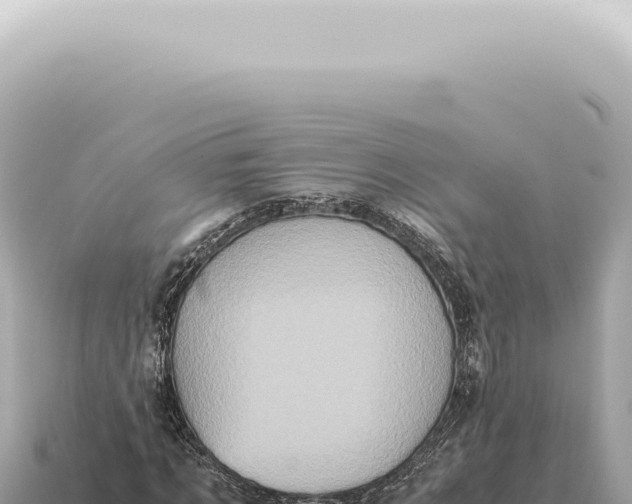 X0000115140869200911101705