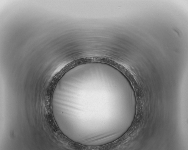 X0000115140871200911101705