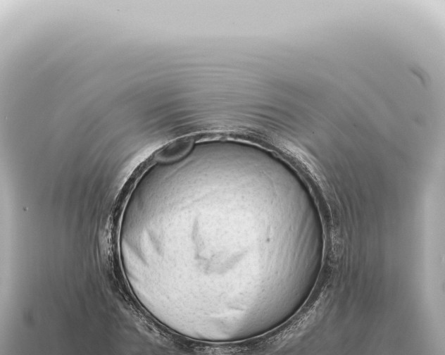 X0000115140875200911101705