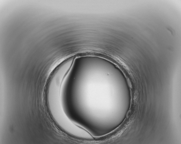 X0000115140877200911101705