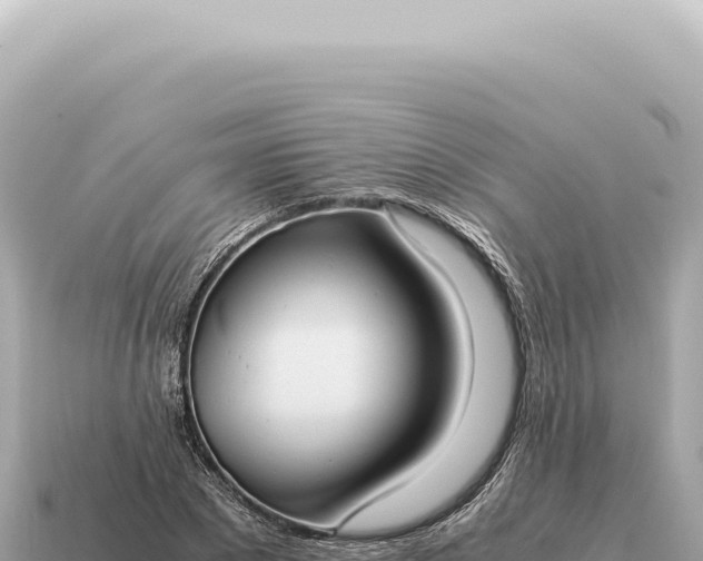 X0000115140881200911101705