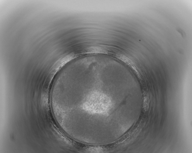 X0000115140882200911101705
