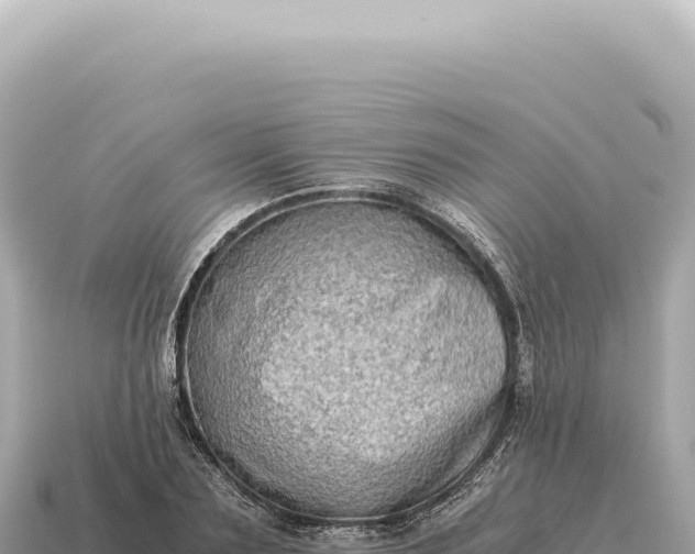 X0000115140883200911101705