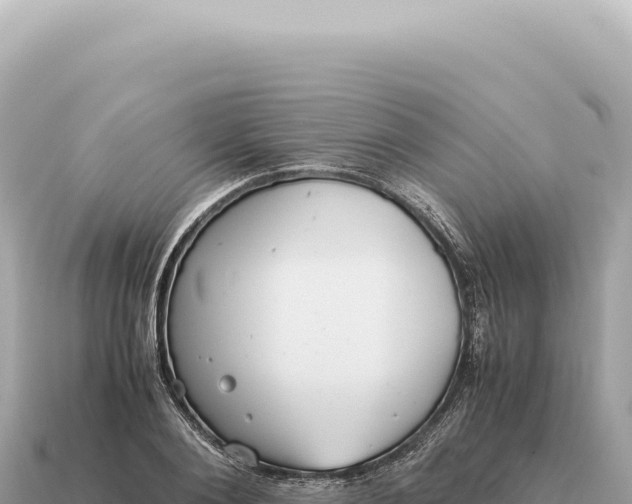 X0000115140884200911101705