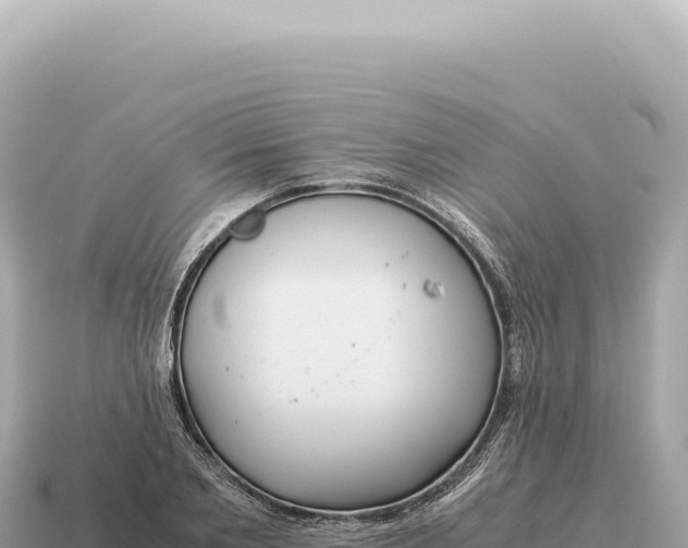 X0000115140885200911101705