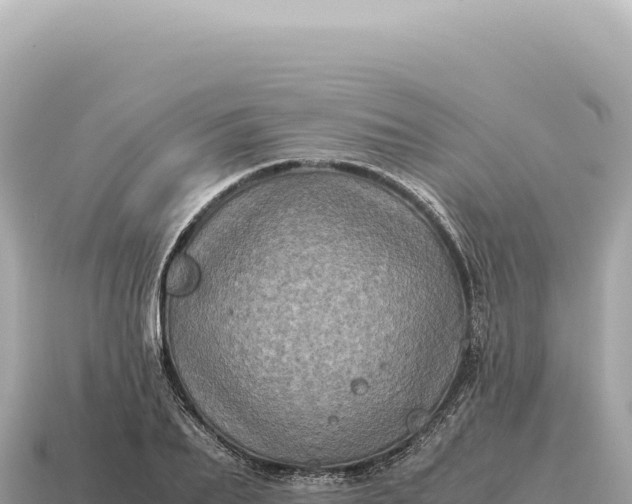 X0000115140887200911101705
