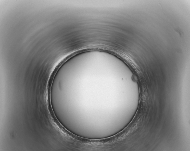 X0000115140888200911101705
