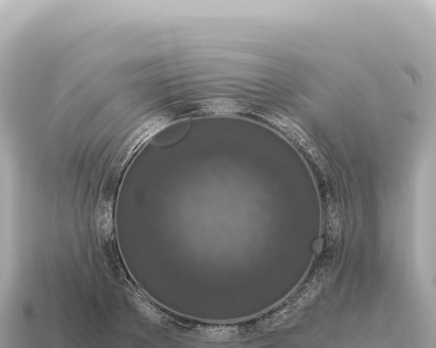 X0000115140889200911101705