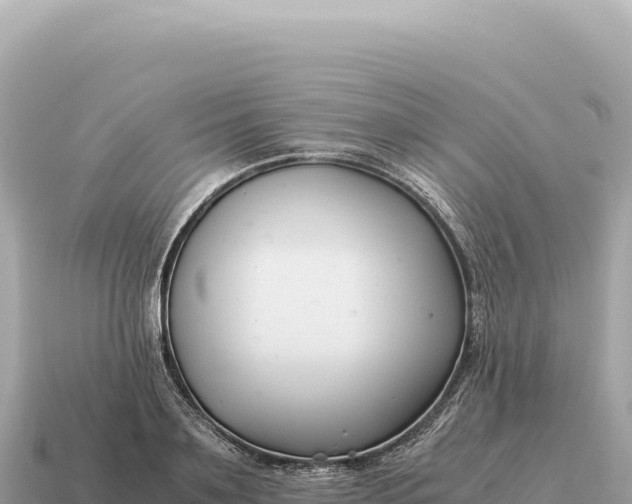 X0000115140891200911101705