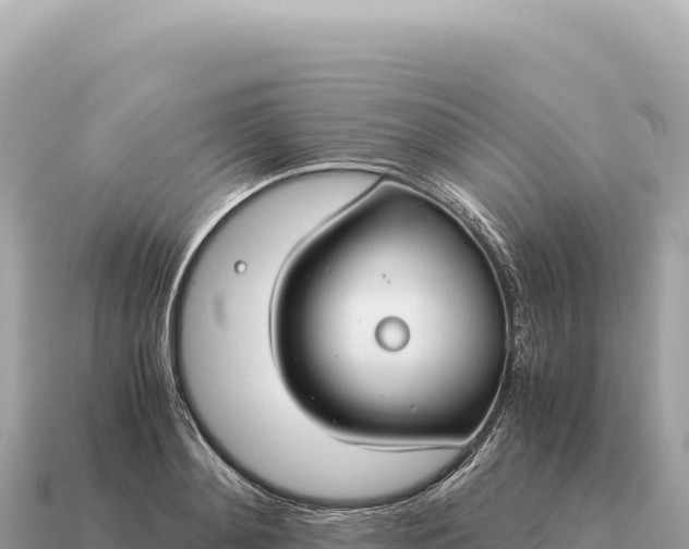 X0000115140892200911101705
