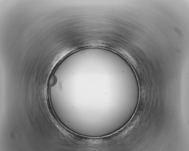 X0000115140893200911101705