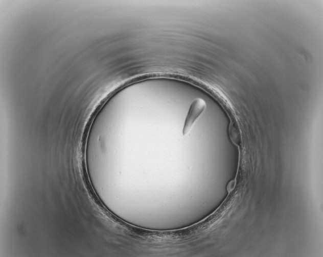 X0000115140895200911101705