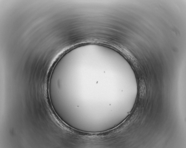 X0000115140896200911101705