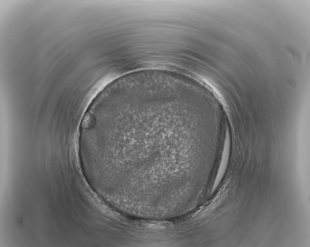 X0000115140899200911101705