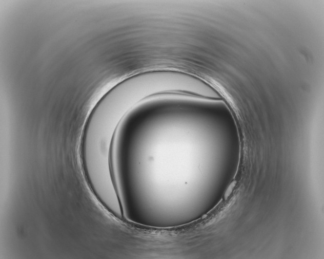 X0000115140901200911101705