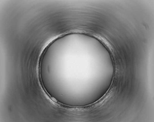X0000115140902200911101705