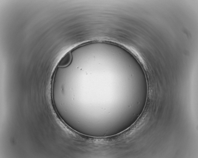 X0000115140903200911101705