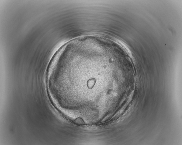 X0000115140907200911101705