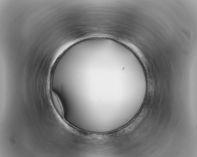 X0000115140910200911101705