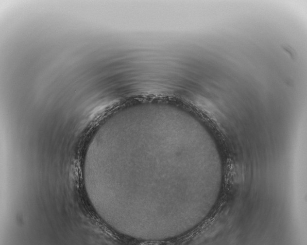X0000115140918200911101704