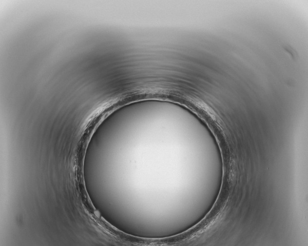 X0000115140922200911101704