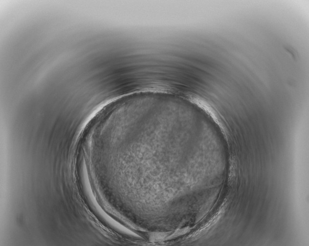 X0000115140923200911101704