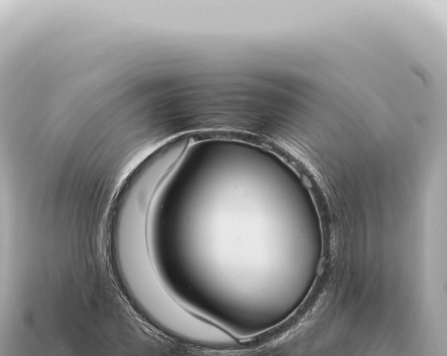 X0000115140925200911101704
