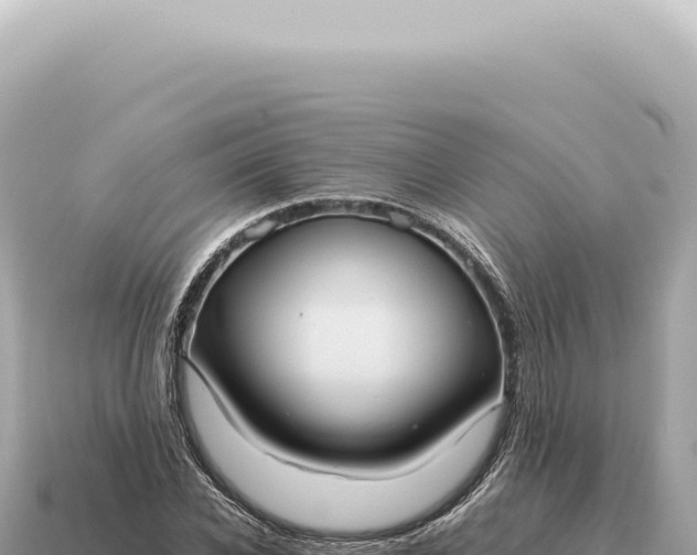 X0000115140926200911101704