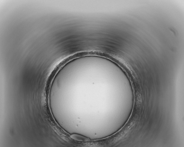 X0000115140927200911101704