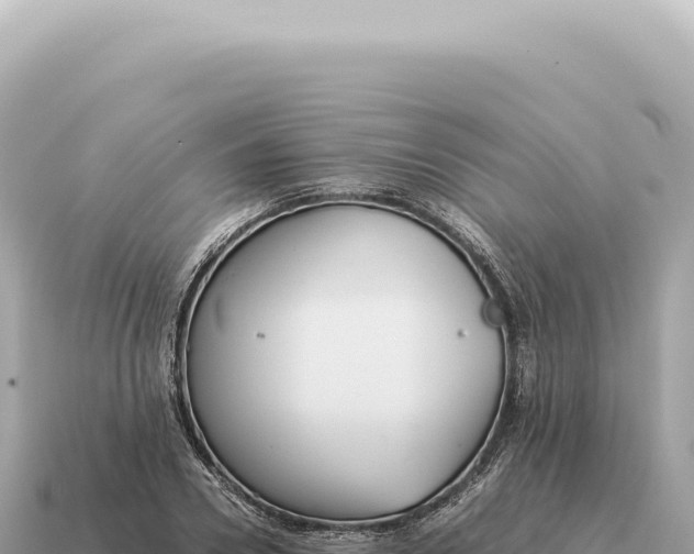 X0000115140930200911101704