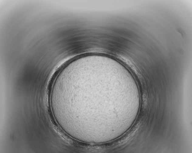 X0000115140931200911101704