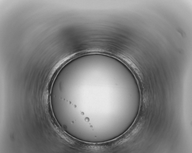 X0000115140933200911101704