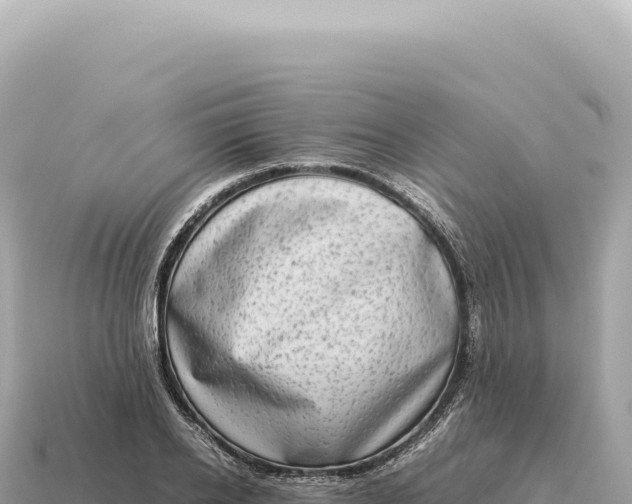 X0000115140934200911101705