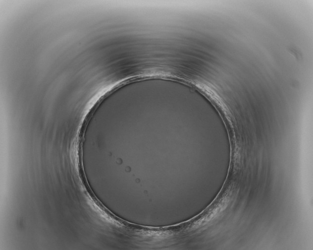 X0000115140941200911101705