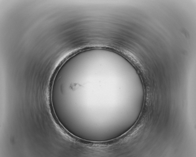 X0000115140942200911101705