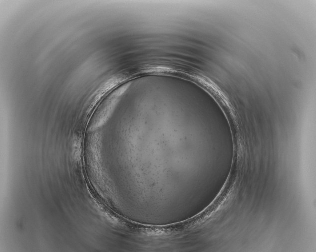 X0000115140945200911101705