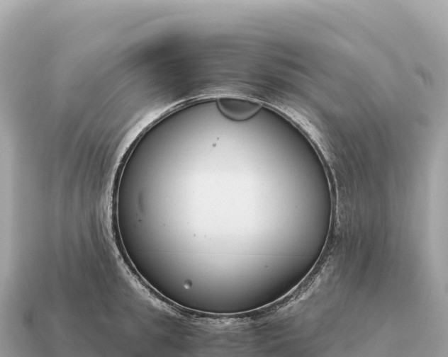X0000115140949200911101705