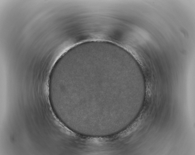 X0000115140950200911101705