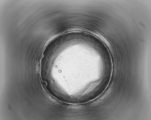 X0000115140953200911101705
