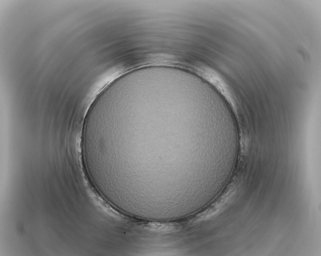 X0000115140954200911101705