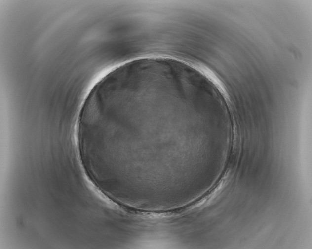 X0000115140958200911101705