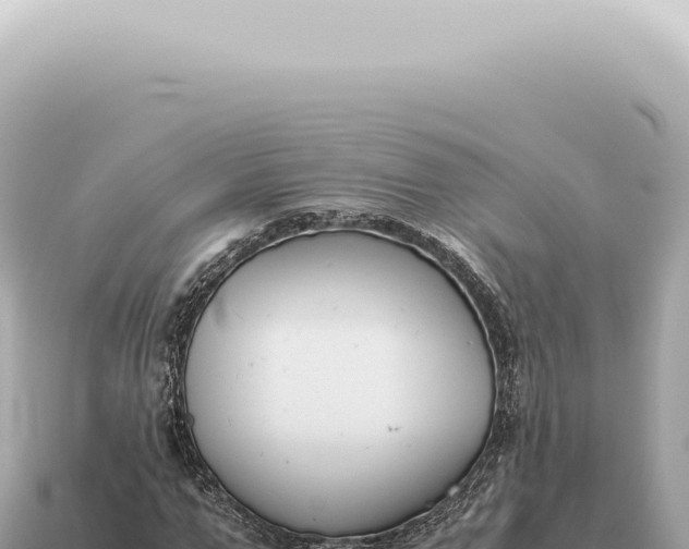 X0000115140967200911101704