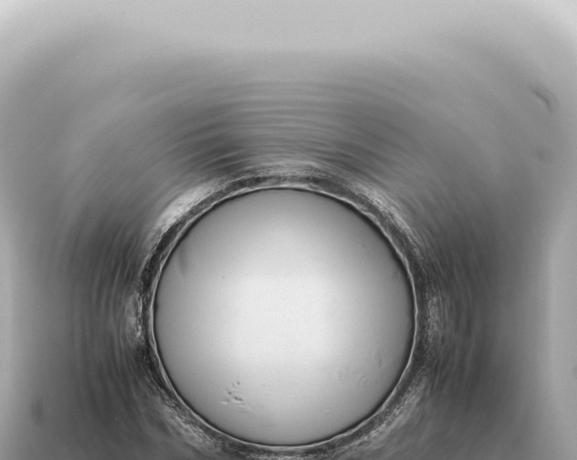 X0000115140970200911101704