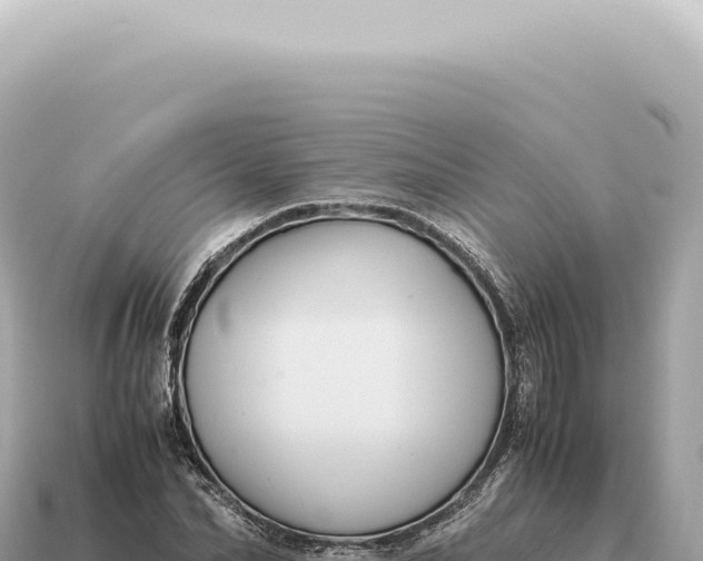X0000115140974200911101704
