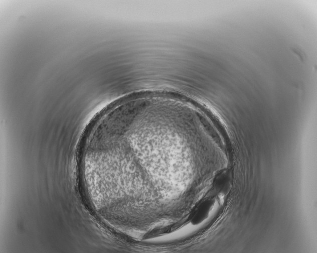X0000115140975200911101704